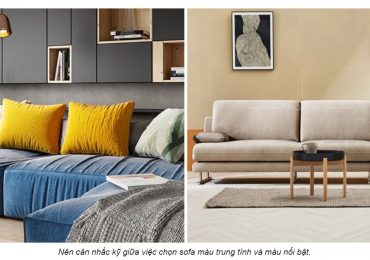 Cách chọn màu ghế sofa đúng chuẩn, tăng tính thẩm mỹ cho phòng khách