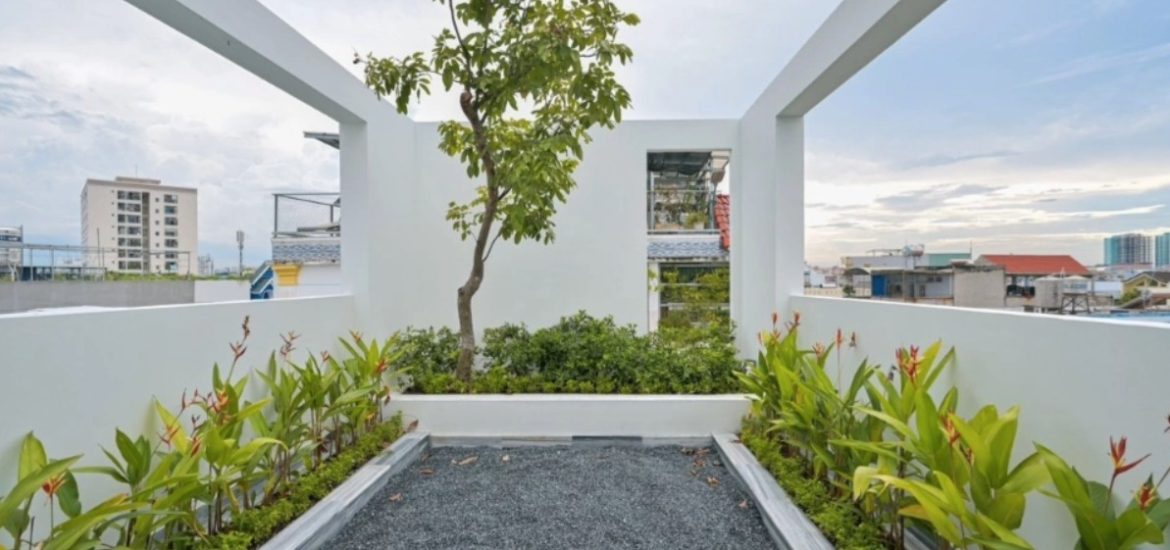 Những ý tưởng thiết kế nhà phố có đủ bể bơi và vườn cây xanh mát