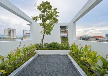 Những ý tưởng thiết kế nhà phố có đủ bể bơi và vườn cây xanh mát