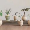 Giới trẻ và thú cây cảnh mini kiểu độc, lạ