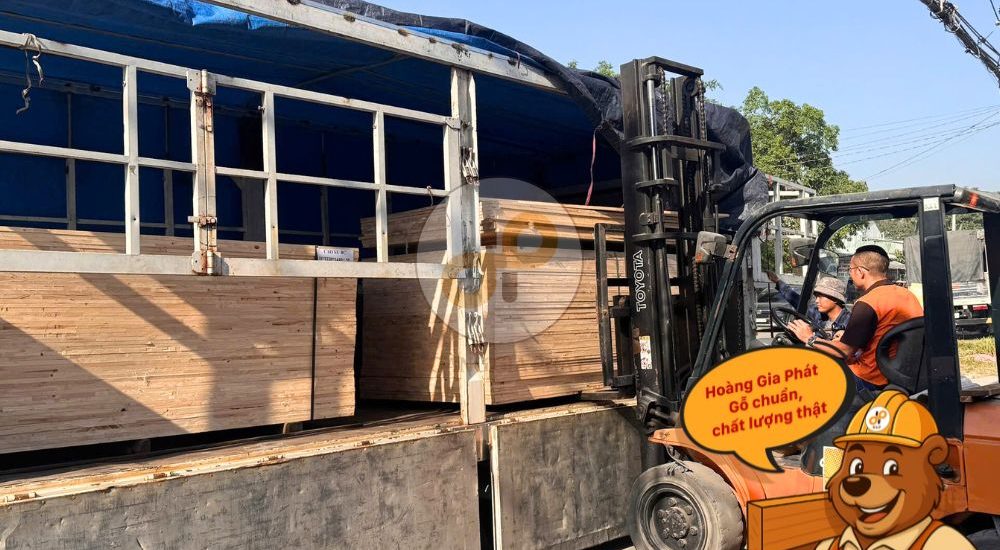 Phần mềm tra cứu vận đơn Trung Quốc Viêt Nam và câu chuyện lựa chọn Ván ghép cao su cho xưởng sản xuất