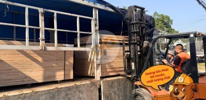 Phần mềm tra cứu vận đơn Trung Quốc Viêt Nam và câu chuyện lựa chọn Ván ghép cao su cho xưởng sản xuất