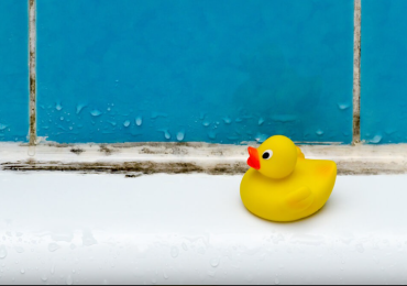 Mách bạn những cách đơn giản giúp giảm độ ẩm trong phòng tắm