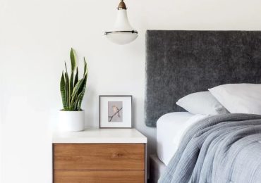 Loại cây cảnh nào phù hợp đặt trong phòng ngủ bật điều hòa cả đêm?