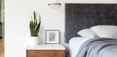 Loại cây cảnh nào phù hợp đặt trong phòng ngủ bật điều hòa cả đêm?