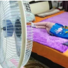 Bí quyết dùng quạt cho trẻ nhỏ, mát mẻ quanh năm, không lo ho, cảm lạnh