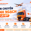 Giải Bài Toán Logistics Cho Doanh Nghiệp: Vận Chuyển Chính Ngạch An Toàn