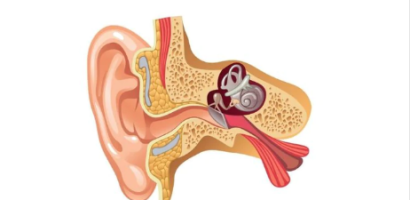 Bị ù tai nên ăn gì để hỗ trợ sức khỏe thính giác